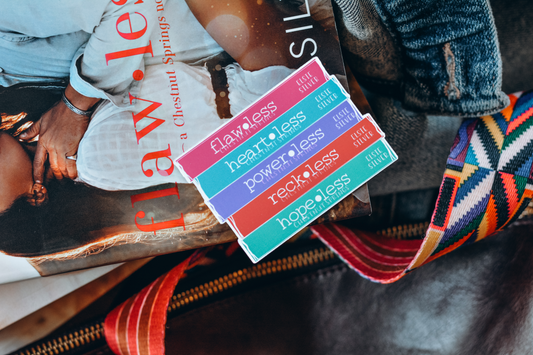 Chestnut Springs Series Book Stack